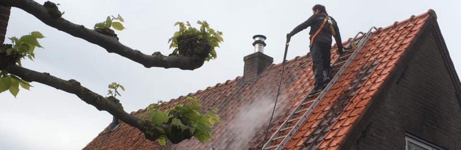 Dakpannenreiniging Corstanjereiniging Breda.