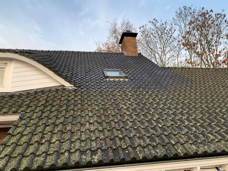 mos op het dak