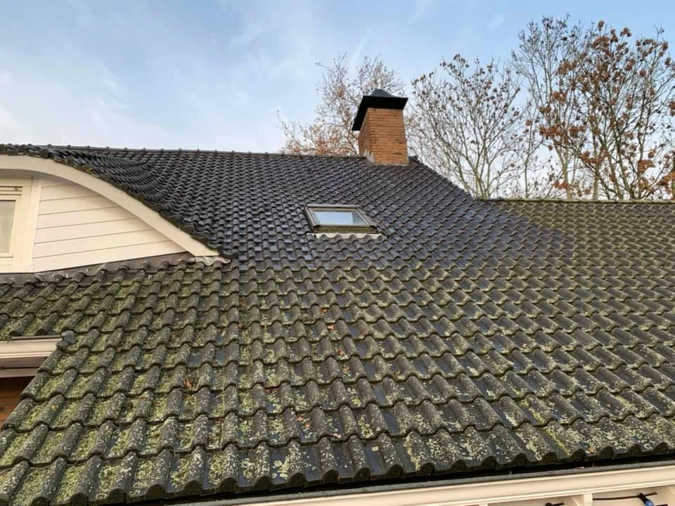 mos op het dak